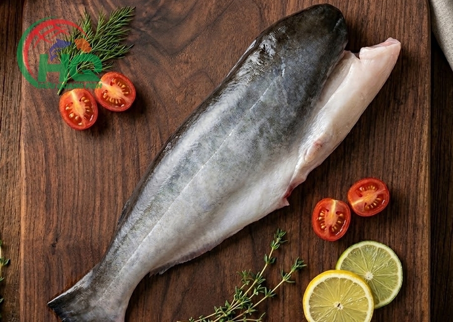 Pangasius HGT