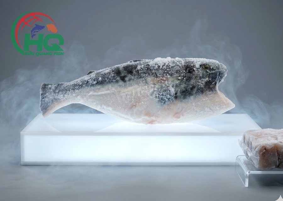 Pangasius HGT