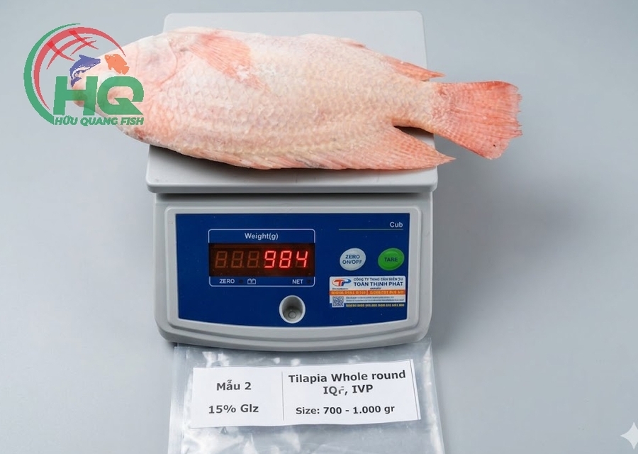 Red Tilapia WGGS