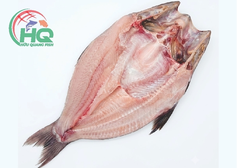 Pangasius Butterfly