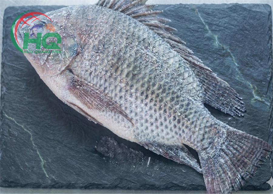 Tilapia WGGS