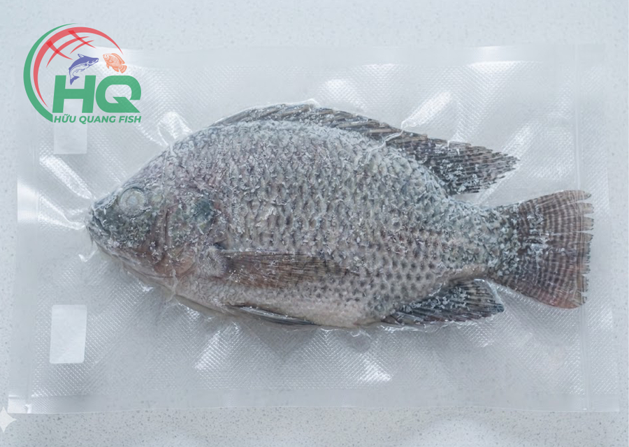 Tilapia WGGS