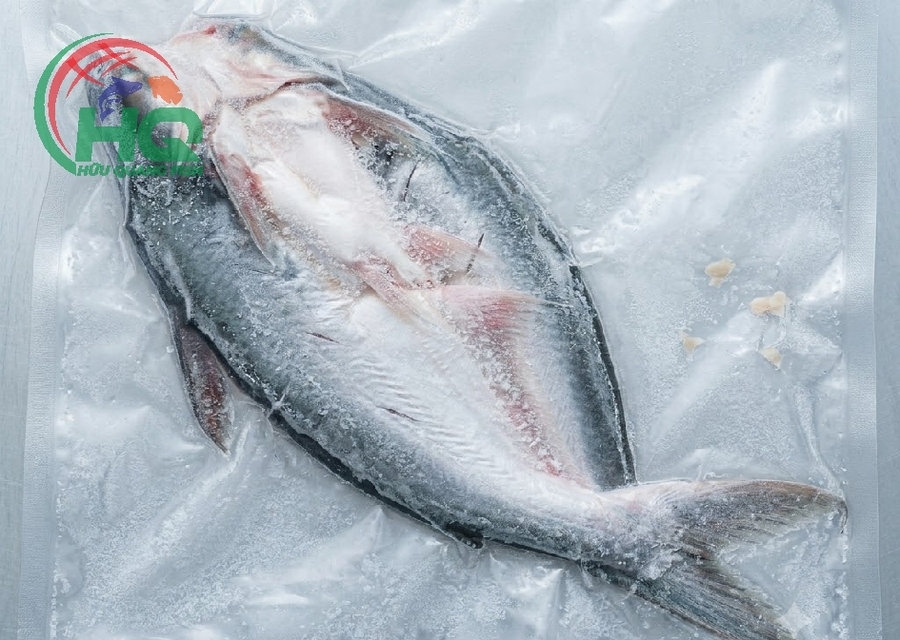 Pangasius Butterfly