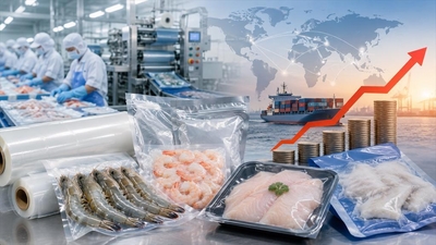 Rising plastic packaging prices: adding further cost pressure on seafood businesses